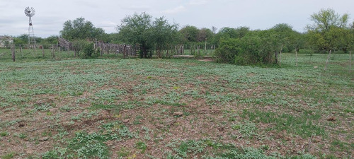 Campo Ganader0 De Cria-la Criolla-santa Fe