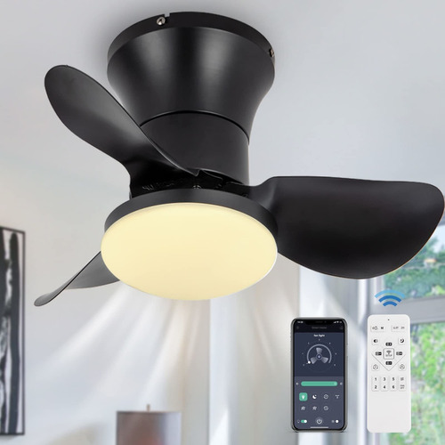 21  Ceiling Fans With Lights And Remote, Small Modern Flush.