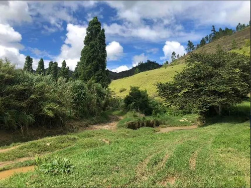 Finca De Oportunidad En Constanza 796 Tareas Acepto Permuta