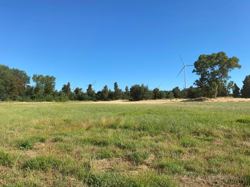 Se Vende Espectacular Campo. Mulchen (73488)