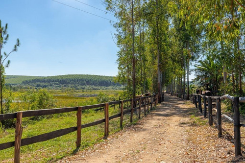 Imagem 14 de 30 de Fazenda À Venda No Bairro Sarapuí - Sarapuí/sp - O-8420-17443