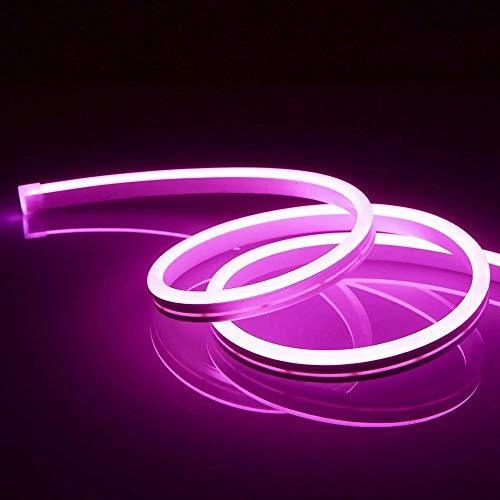  Neon Led Strip Light ***** - 5m 12v Dc 600 Smd2835 Leds Luz