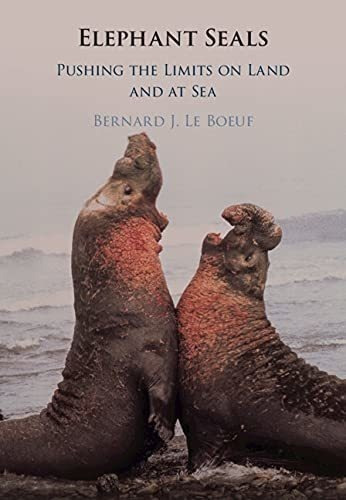 Elephant Seals Pushing The Limits On Land And At Sea, De Le Boeuf, Bernard. Editorial Cambridge University Press En Inglés