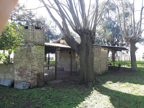 Imagen 8 de 10 de En Venta Campo De 27has En Lobos Paraje La Porteña