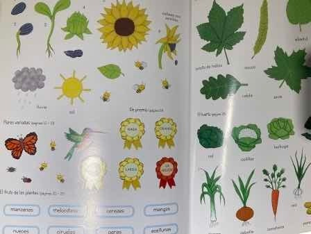 Los Alimentos Y Las Plantas- Descubro Y Pego- Usborne