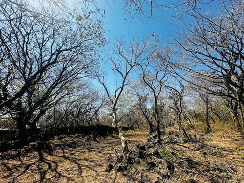 Venta Terreno Comunal Tepoztlan Morelos