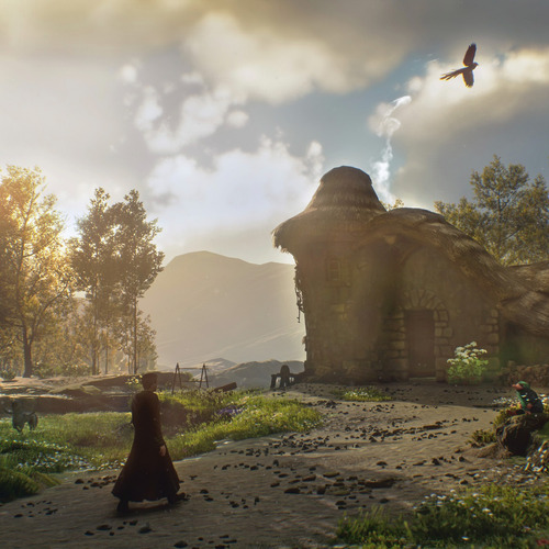 Hogwarts Legacy- Nintendo Switch (Usado)