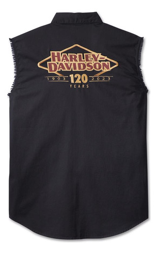Camisa Sem Manga 120 Anos Harley-davidson 96656-23vm