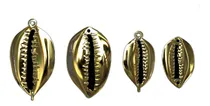 Comprar Colección De Conchas Cowry: ¡belleza Natural!
