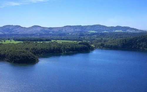 Agrícola En Venta En Cunco