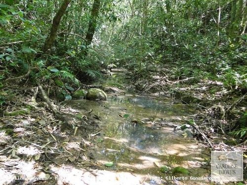 Imagem 12 de 15 de Área Rural Para Venda Em Mariana Pimentel, Linha Preta - Mariana Pimentel - 1148_1-731320