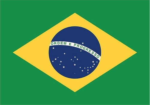 Bandera De Brasil Oficial 90 X 150 Cm