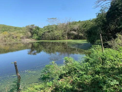 Finca Ganadera