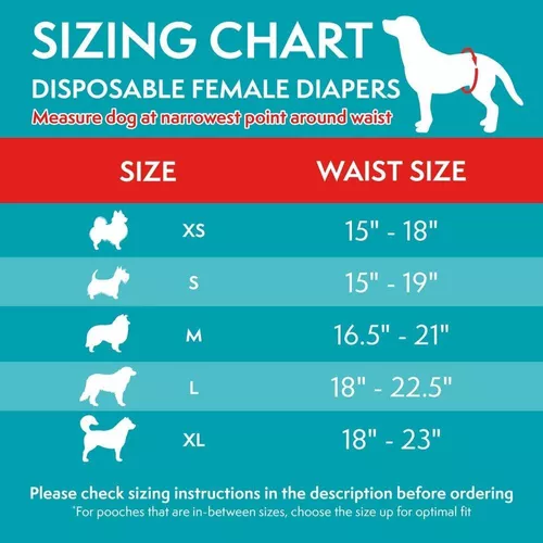 Simple Solution pañales desechables para perros machos | Envolturas  masculinas con ajuste súper absorbente a prueba de fugas | micción  excitable