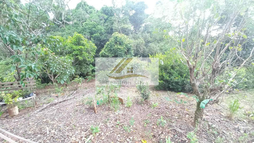 Imagem 10 de 15 de Vendo Chácara Com 2000m² Em Ibiúna Divisa Piedade - Sp - 25