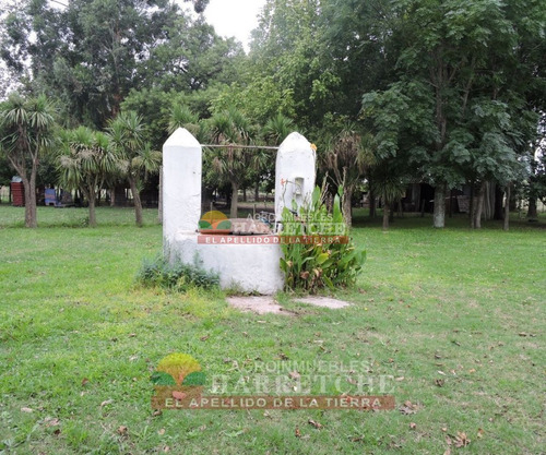 Imagen 28 de 30 de Chacra 5 Has En Venta, Casa 3 Dorm, Cno Gigante