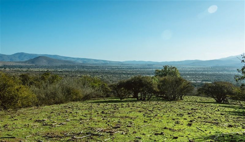 Imagen 17 de 28 de Agrícola En Venta En Zapallar