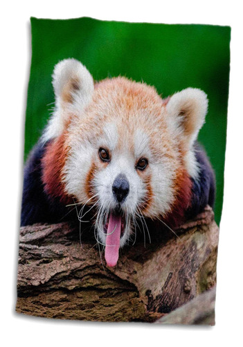 Toalla Con Forma De Oso Panda Rojo En 3d En Forma De Rosa En