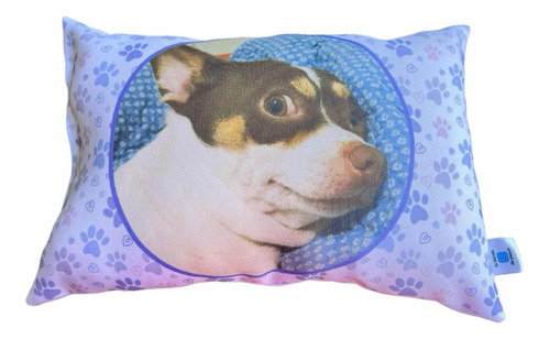 Cojín Tipo Almohada Personalizado Con Foto De Tu Mascota