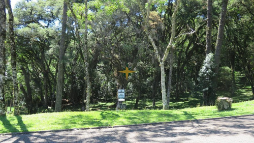 Imagem 1 de 17 de Terreno Residencial Em Condomínio - 801