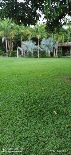 Imagem 9 de 15 de Sítio Para Venda Em Rio De Janeiro, Campo Grande - Rsv50_2-1425952