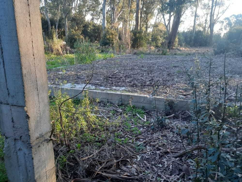 Lote Sobre Ruta 11 En Sarandi Proyecto Cabaña Financio