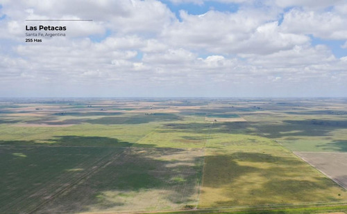 Campo De 255 Hectáreas En Las Petacas, Santa Fe