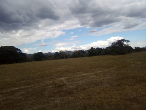 Imagen 12 de 14 de Finca Con 1.100 Hectáreas De Terreno Propio Tu Oportunidad