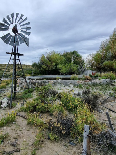 Campo Productivo 16 Mil Hectáreas, Paso De Indios, Chubut