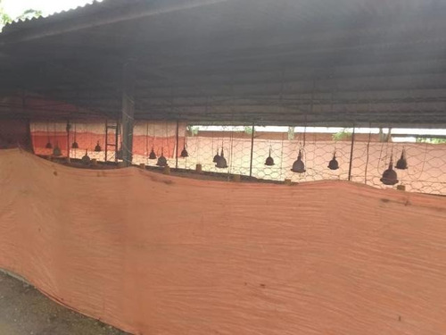 Imagen 8 de 30 de Jose Lopez Ofrece Finca ( Granja Avícola / Agrícola ) En Venta Vía A Duaca Caserio Guayabal Cordero Lara, Venezuela ,j G L Rent - A - House Telf. 0414-5533925 Cod # 22-16836 $ 15000