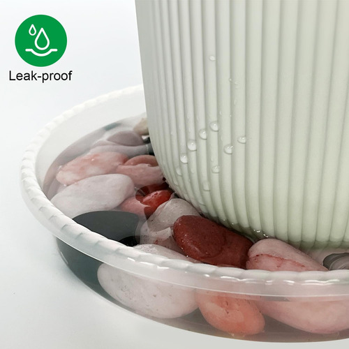 Platillo De Plástico Transparente 8 Para Macetas