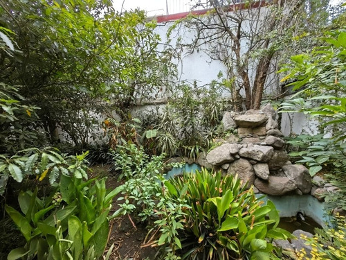 Casa Venta En Col. Florida / Frente Al Parque