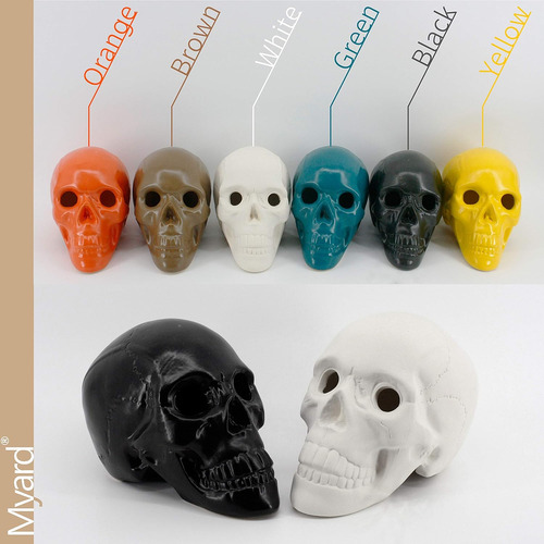 Tronco De Gas Con Forma De Calavera Con Huecos En Las Cuenca