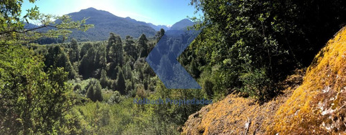 Terreno En Venta En Cisnes