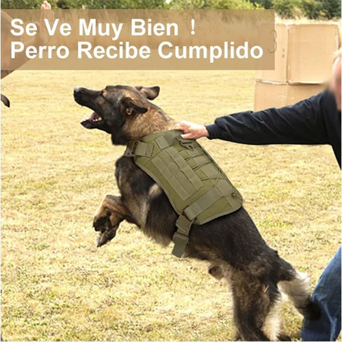 Arnés Táctico Profesional Ajustables Para Perros Grandes