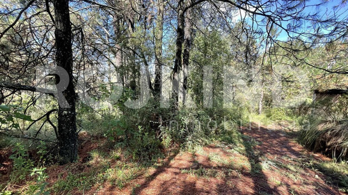 Imagen 12 de 27 de Terreno En Venta Salazar, Estado De México