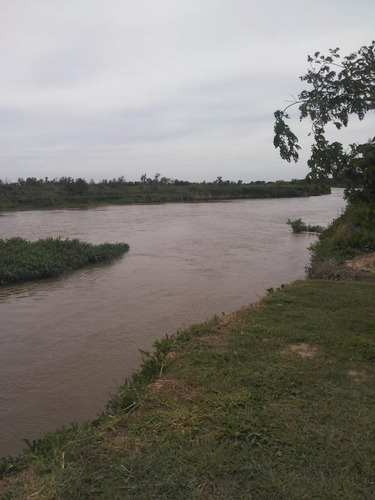 Imagen 3 de 21 de Excelente Quinta Sobre El Río Coronda
