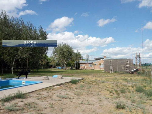 Imagen 14 de 26 de Excelente Finca De 31 Has En San Rafael , Mendoza Zona Vitivinícola Argentina
