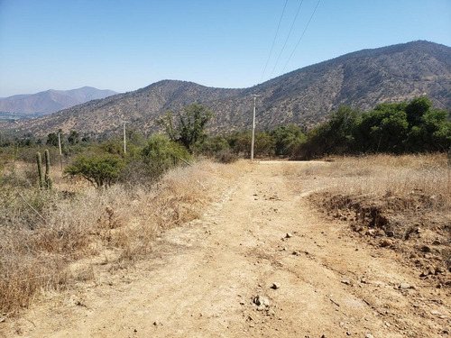 Imagen 5 de 14 de Oportunidad Ultimas Parcelas 10.000m2 La Aurora Curacavi