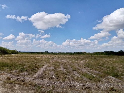 Vendo Terreno En Quibor , Sector Cuara , Listo Para Siembra, 4 Hectáreas, Laguna, Fácil Acceso Cod. 25- 6570 Mz