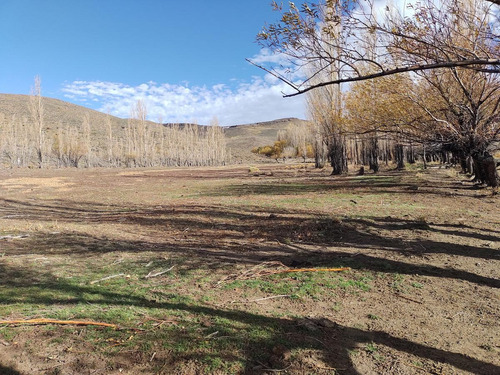 Imagen 9 de 14 de Campo En Venta - Espinazo Del Zorro - Aluminé