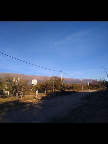 Imagen 1 de 2 de Lote En Venta En Cerro De Oro.
