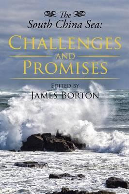 Libro The South China Sea : Challenges And Promises - Jam...