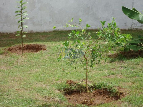 Imagem 6 de 10 de Casa Em Brotas - 5205