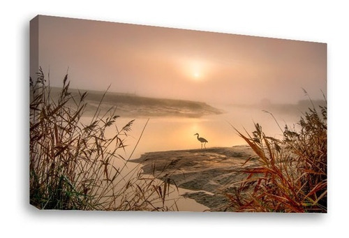 Cuadro Decorativo Canvas Moderno Lago Atardecer Con Garza