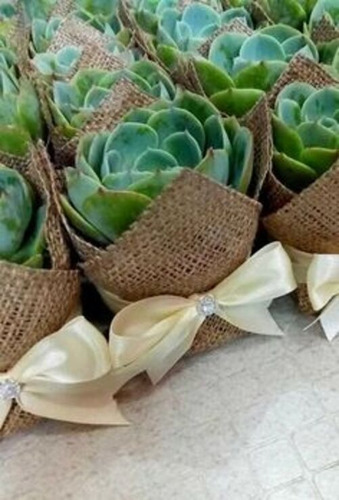 Imagen 9 de 10 de Regalo Corporativo Feliz Día De La Madre, Suculentas Natural