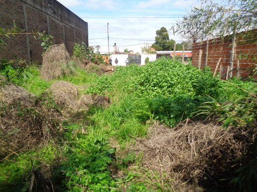 Venta De Lote En Guernica, A Mts De Av Hipolito Yrigoyen