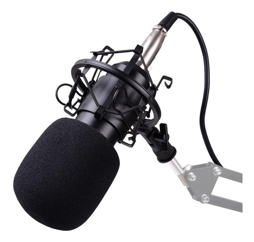 Imagen 6 de 10 de Microfono Condenser Profesional Estudio Kit Streaming Usb