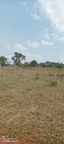 Imagem 12 de 13 de Fazenda Município De Comendador Gomes