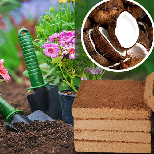 6 Piezas De Fibra De Coco Orgánica Para Plantas, Ladrillo De